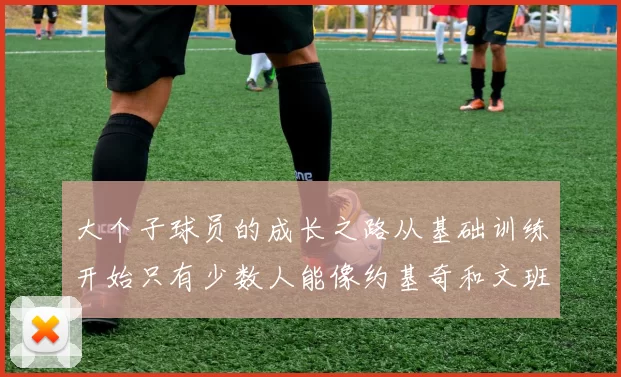 大个子球员的成长之路从基础训练开始只有少数人能像约基奇和文班那样成功