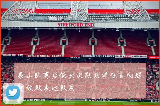 泰山队赛后低头沉默刘洋独自向球迷致歉表达歉意